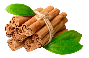 Ceylon Zimt