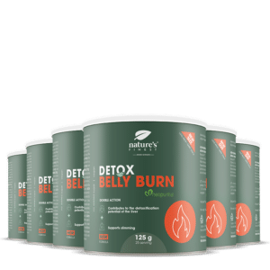 Detox Belly Burn 6x Paket