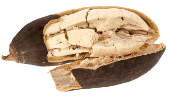 Baobab Pulver