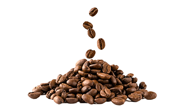 Instantkaffee (Coffea arabica L.)