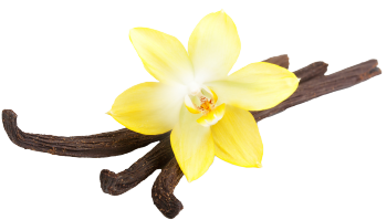 Vanilla