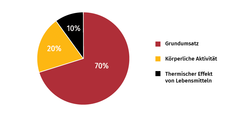 2x Metabolism, 2x Waistline PRO + Coffee Scrub GESCHENK